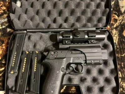 Sig Sauer Mosquito and Browning Black Label 1911 