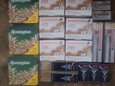 22 AMMO