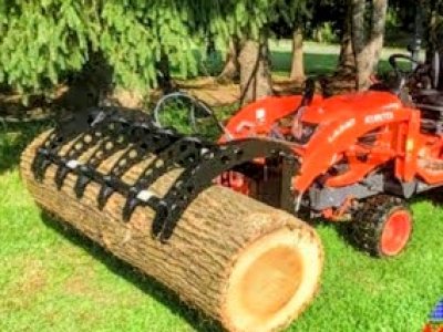 Affordable tractor and tree removal work