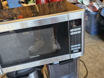 Free microwave