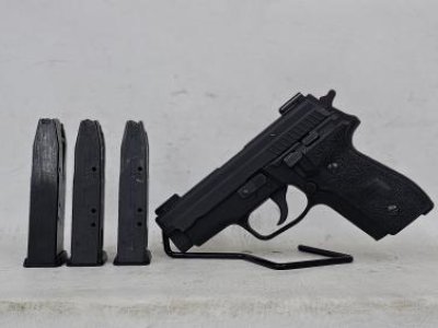 Sig Sauer P229 in 40 S&W.