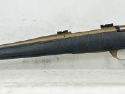 Weatherby Vanguard in 30-06.