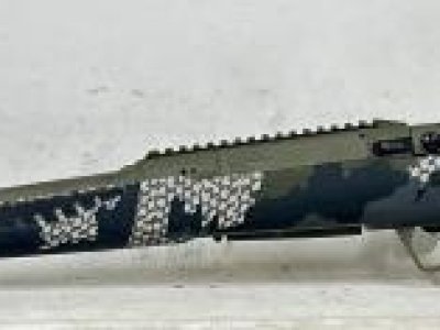Savage Impulse in 30-06.