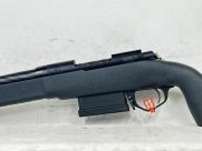 Taurus Expedition in .308.