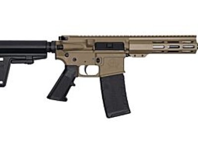 NEW - Great Lakes FDE Pistol