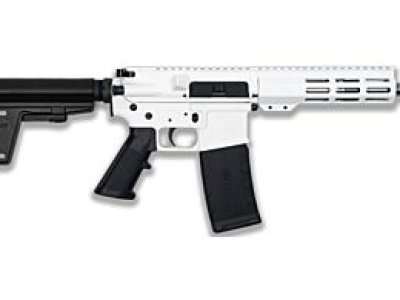 NEW - Great Lakes White AR15 Pistol