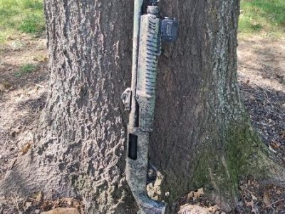 Tr imports rz17 home defense shotgun 