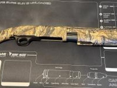 Browning bps 12 gauge nwtf model 