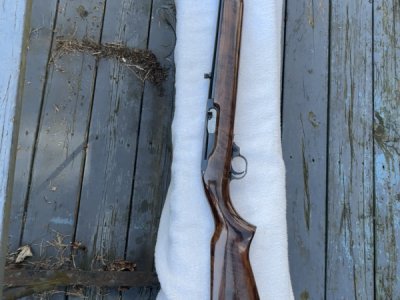 Ruger Carbine .44 mag 