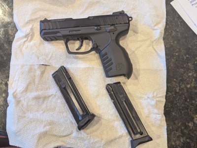 Ruger sr22 pistol