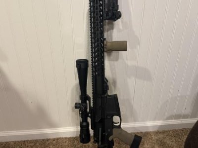 AR10 308