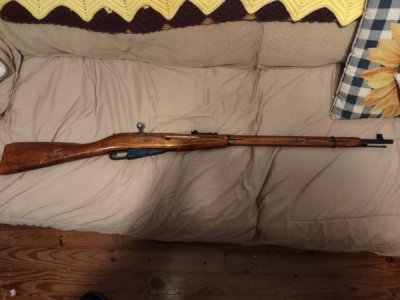 Mosin nagant 91/30