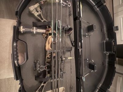 Bowtech Allegiance Compound Bow (Price Lowered)