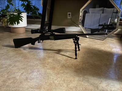 Savage Model 10 308