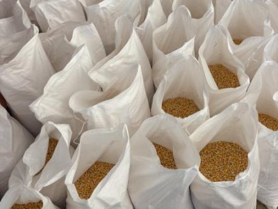 Deer Corn 