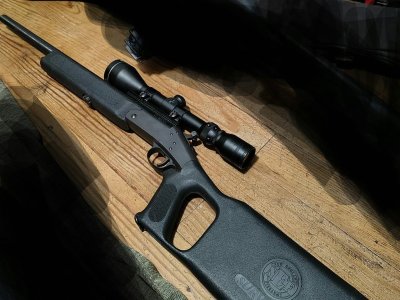 New England 223 with scope and ammo